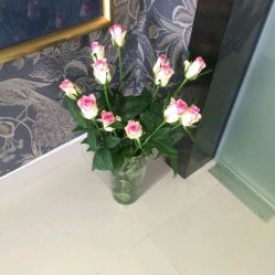 -Face Score美甲美睫皮肤管理