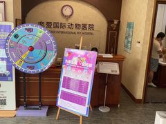 -宠爱国际动物医院· 猫科· 外科·中兽医(长白店)