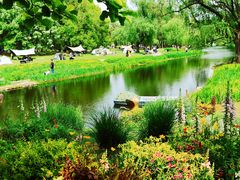 -上海共青森林公园