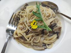 -伊斯坦布尔土耳其清真咖啡餐厅