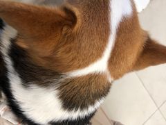 -怪兽屋·羊驼·猫咖·狗咖(俊华广场店)