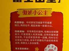 -深圳市当代艺术与城市规划馆