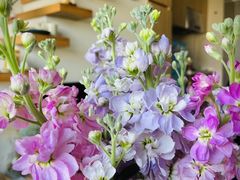 -梅花境(万科店)