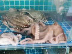 -宾朋海鲜特色美食餐厅·纯手工鲅鱼水饺(兴海路店)