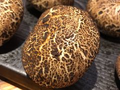 -苹果树下艺术餐厅(通州店)