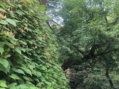 -北京上方山国家森林公园