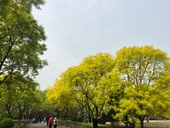-莲花池公园