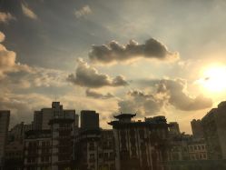 窗外风景-海豚湾高端月子会所(黄浦店)