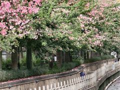 -番禺广场(市桥街道)