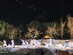 -禅宗少林·音乐大典