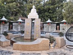 -张家港金凤凰度假村温泉
