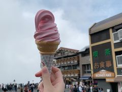 -富士山吉田線五合目