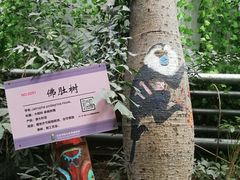 -呀路古热带植物园