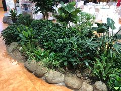 -雅和生态渔庄·宜城锅巴饭(龙灵山公园店)