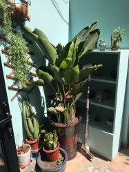 店内环境-甲舍美甲美睫艺术馆