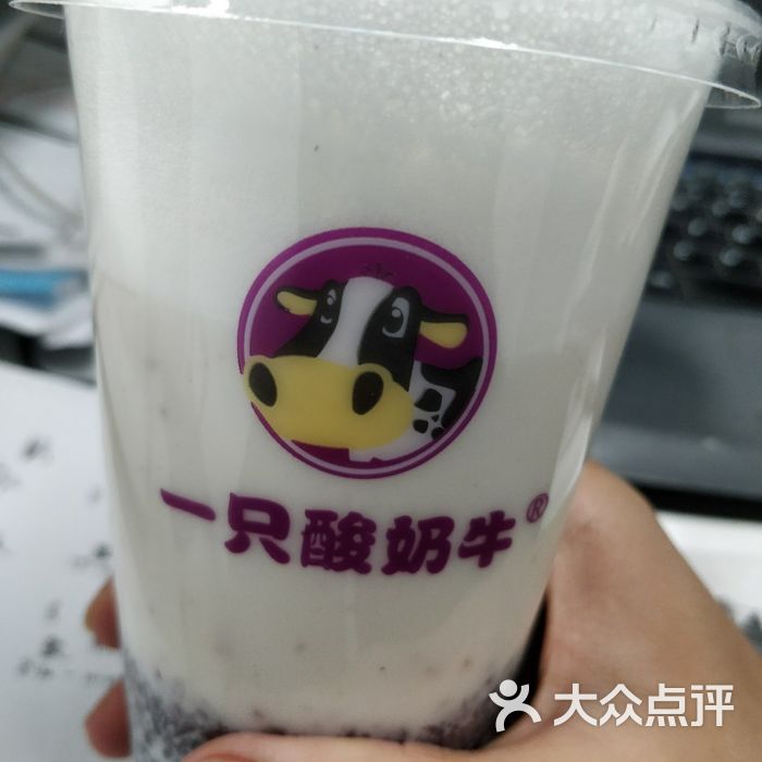 一只酸奶牛图片-北京甜品饮品-大众点评网