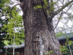 -普陀山风景名胜区-法雨禅寺