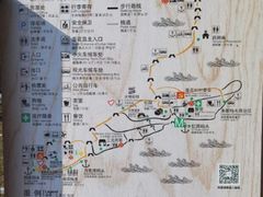 -莲花岛景区