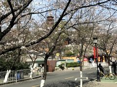 -鸡鸣赐茶(鸡鸣寺路店)
