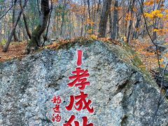 -龙道沟景区