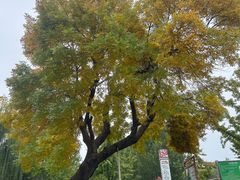 -东郊湿地公园