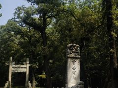 -灵谷景区