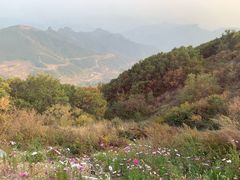 -白草畔自然风景区