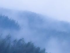 -梅岭月亮湾山体公园