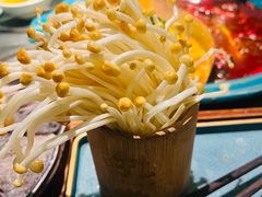 -吼堂老火锅(太古里总店)