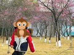 -广东大峡谷
