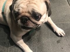 -付掌柜在成都·热炒砂锅集(金禾店)