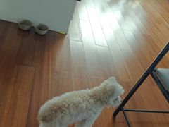 -嘉馨宠物医院·CT影像转诊·心脏科·犬猫全科诊疗中心(下沙大学城院区)