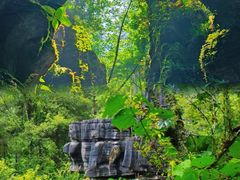 -梭布垭石林景区