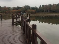 -东滩湿地公园观海楼餐厅