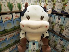 -麦德龙(湖里店)