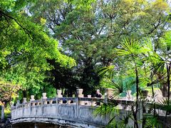 -晓港公园