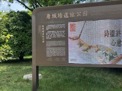 -唐城墙遗址公园