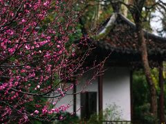 -郭庄景区