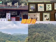 -鼎湖山风景区
