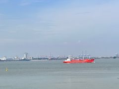 -大湾区中央湿地公园