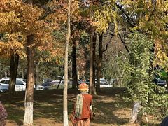 -白鹭湾湿地公园