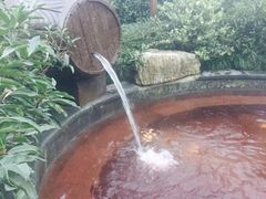 -杭州第一世界大酒店·云曼温泉