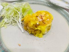 -翠园(北京王府中环店)