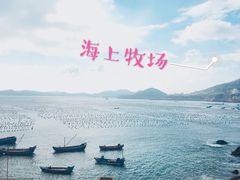 -枸杞岛