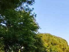 -东坝千亩湖公园