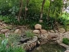 -成都市活水公园