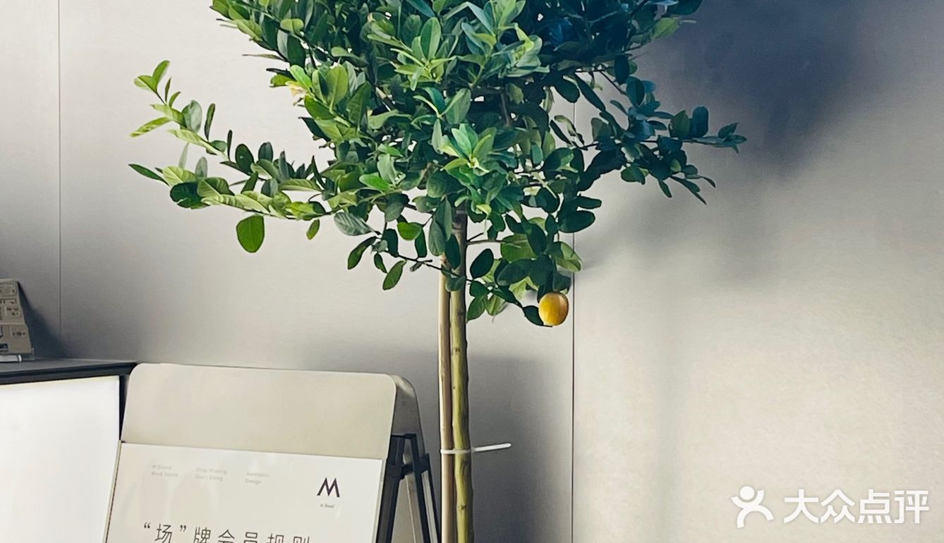 M stand正大店喝杯美式，终于没有美食圈的人