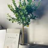 M stand正大店喝杯美式，终于没有美食圈的人