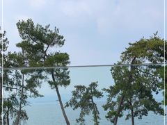 -宝荣鱼馆·临湖之宴(千岛湖店)