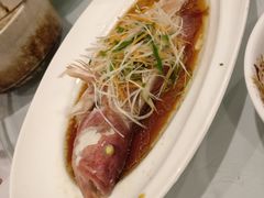东星斑-南八仙·老上海味道(南京东路店)